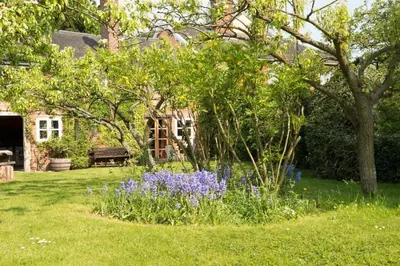 a garden with purple flowers in front of a house at The Bakery a honeymooners favourite cosy stylish with lovely walks and pubs in Edwardstone