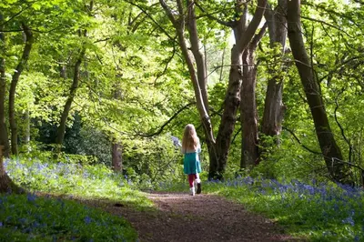 a little girl walking down a path through blue flowers at The Bakery a honeymooners favourite cosy stylish with lovely walks and pubs in Edwardstone