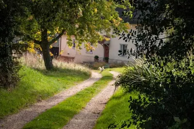 a dirt road in front of a white house at Mill Cottage set beside a Mill pond in a 70 acre Nature Reserve Bliss in Assington