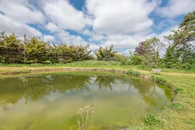 a pond in the middle of a field with a bench at Harvest Cottage, Valley Farm, Snape in Saxmundham