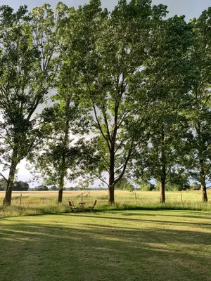 a park with trees and a bench in the grass at Bluebell Barn in Banham