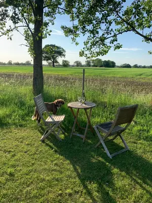 a dog sitting next to a table and two chairs at Bluebell Barn in Banham