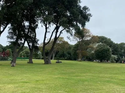 a park with trees and a bench in the grass at Seaview B&B in Harwich