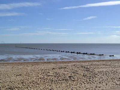 a group of birds standing in the water on a beach at Peartree Cottage in Saint Osyth