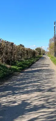 an empty road with trees on the side of it at Dedham Lodge in Lawford