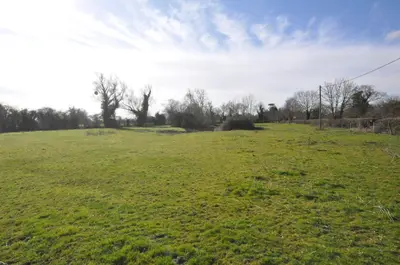 a field of green grass with trees in the background at Corner Cottage in Cambridge