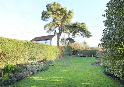 a garden with a hedge and a tree at Appletree Cottage in Westleton