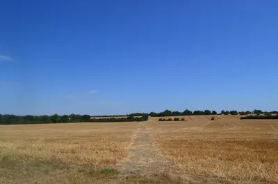 an empty field with a dirt road in the middle at 1 Bed in Debach oc-lasn in Debach