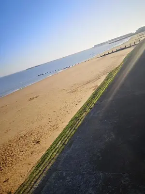 a beach with a row of birds in the water at Lovely 2-Bed caravan in Walton on the Naze in Walton-on-the-Naze