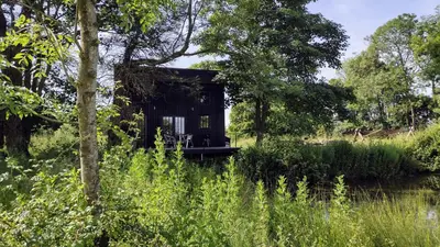 a small black cabin in the middle of a forest at The Water Shack - Amazing tiny house retreat in Woodbridge
