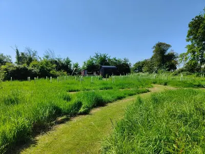 a field of tall grass with a dirt road at Stompy's Hut in Laxfield