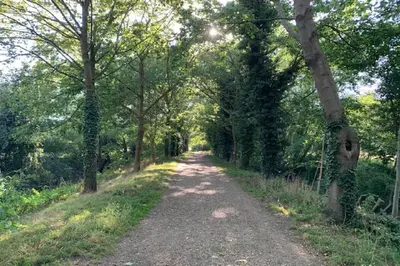 a dirt road with trees on either side at May Barn, Ixworth in Ixworth
