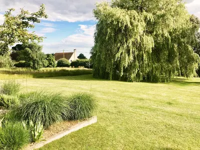 a field of grass with a tree in the background at Spring House by The Suffolk Cottage Collection in Aldeburgh