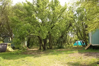a campsite with a tent and a group of trees at The Tawny Shepherd Hut, Whitehouse Farm in Stowmarket
