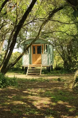 a green and white tiny house in the woods at The Kestrel Shepherd Hut, Whitehouse Farm in Stowmarket