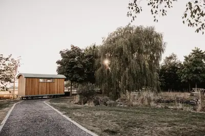 a small wooden building next to a tree at The Dragonfly Shepherds Hut in Colchester