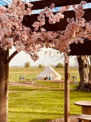 a wooden pergola with pink flowers in a park at Willow Grove Farm Glamping in Lakenheath