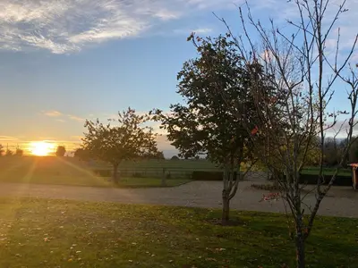 a tree in a field with the sunset in the background at The Oaks Stable cottage in Haughley