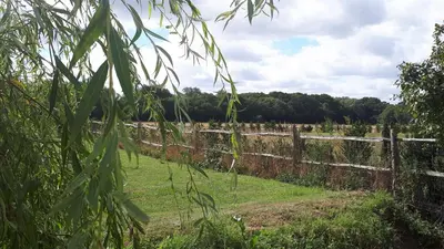 a field with a fence and trees in the background at The Suites at Pannells Ash in Castle Hedingham