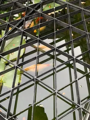 a view of a glass table with a bird in it at Potters Brook in Framlingham