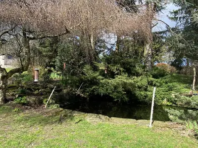 a pond in a garden with trees and grass at Chase Bungalow in Billericay