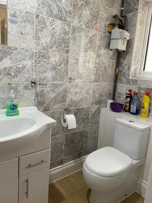 a bathroom with a toilet and a sink at Chase Bungalow in Billericay