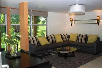 a living room with a black couch and yellow pillows at Apple Tree Lodges in Colchester