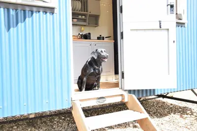 a black dog sitting in the doorway of a garage at Shepherds Pightle in Hollesley