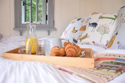 a tray of croissants and drinks on a bed at Shepherds Pightle in Hollesley