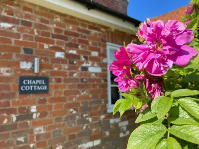 a pink flower in front of a brick building at Chapel Cottage, Newbourne in Newbourn