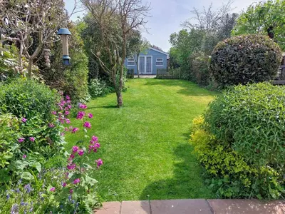 a garden with pink flowers and a blue house at Sunnyside in Colchester