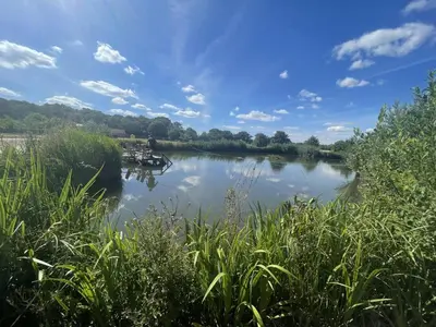 a view of a river with trees and clouds in the sky at Cottage In Norfolk Sleeps 23 - Private Pool, Fishing Lake, Hot Tub Ref 99008Sc in Hockham