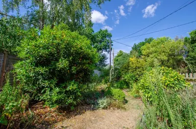 a garden with a fence and a bush at 3 Bed in Yoxford oc-bmy in Yoxford