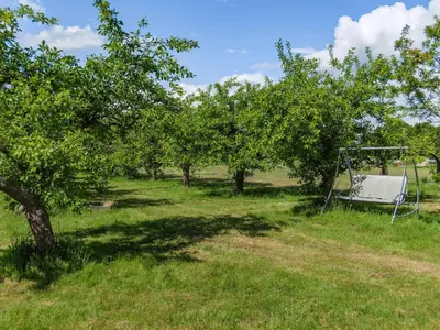 an apple orchard with an apple tree and a swing at Russets in North Weald