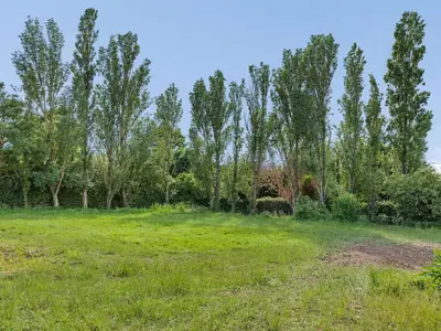 a field with trees in the background at Russets in North Weald
