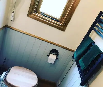 a bathroom with a toilet and a mirror at The Owls Rest Shepherds Hut Hethel in Norwich