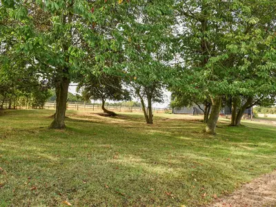 a group of trees in a field with grass at Leys Barn in Great Chishall