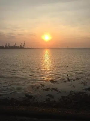 a person swimming in the water at sunset at Tidal Walk in Harwich