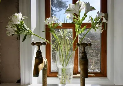 two vases sitting on a window sill with white flowers at The Cottage at Barkwith House in Leiston