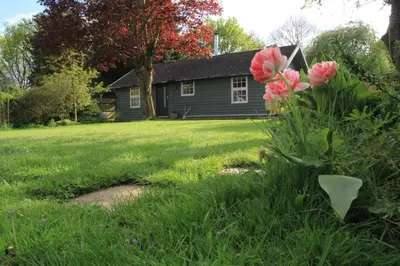 a house with a yard with pink flowers in the grass at 1 Bed in Debenham oc-glah in Worlingworth