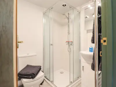 a bathroom with a shower and a toilet and a sink at The Brake Wagon at High Barn Heritage in Halstead