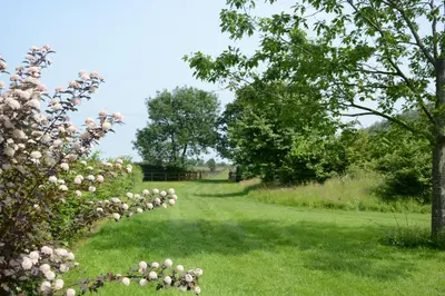 a field of grass with trees and pink flowers at Wassicks Cottage, Haughley in Haughley
