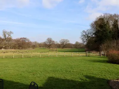 a field with a fence and green grass at Remus in Larling