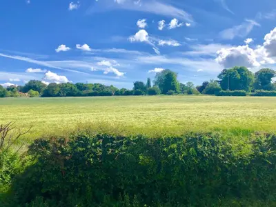 a field of green grass with a blue sky and clouds at 1 Grange Cottages, Westleton in Westleton