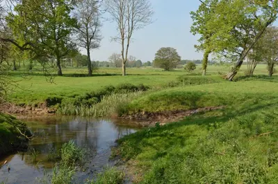 a stream in a field next to a field with trees at 1 The Old Coach House in Laxfield