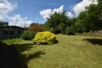 a yard with a yellow bush in the grass at The White House with Studio in Homersfield