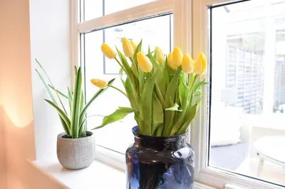 two vases with yellow tulips sitting on a window sill at Bluebelle Cottage, Peasenhall in Peasenhall