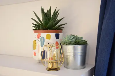 a shelf with two potted plants and a vase at Rosedene, Rickinghall in Rickinghall