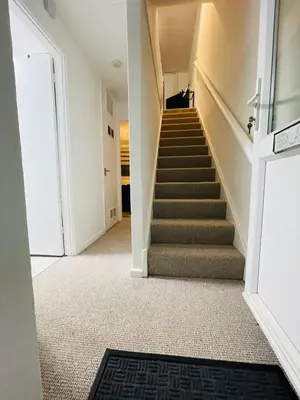 a hallway with stairs with a cat walking up them at Cambridge Stay Cozy home with Wi-Fi, Parking Perfect for 2 in Cherry Hinton