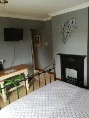 a bedroom with a bed with a fireplace and a television at Meadow Farm Cottage in Norwich
